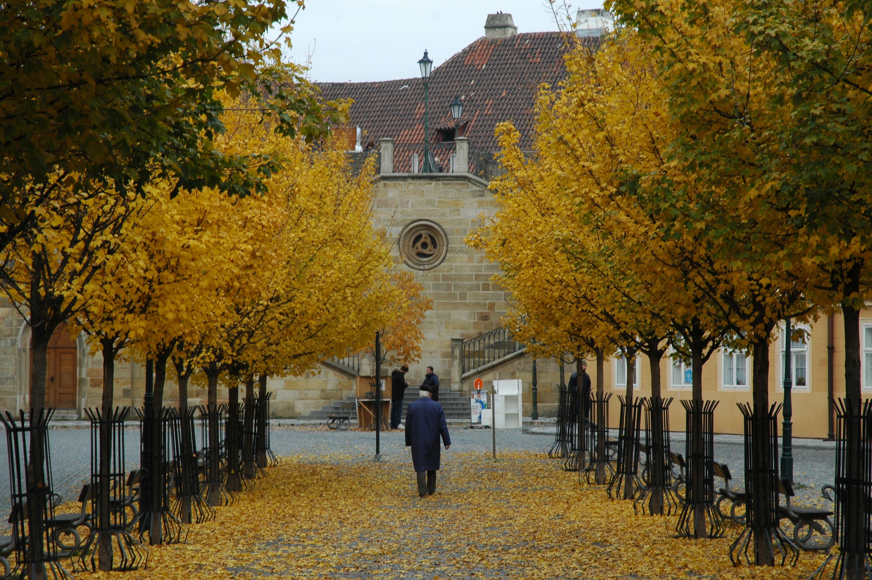 Oro e argento colorano l'autunno